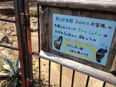 ラマ