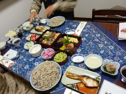 P1160022_512.jpg