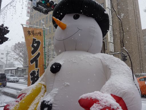 P1160030_512.jpg