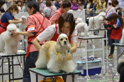 全国トリミング競技会