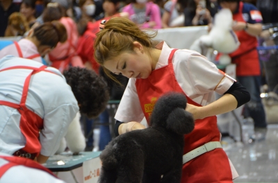 全国トリミング競技会