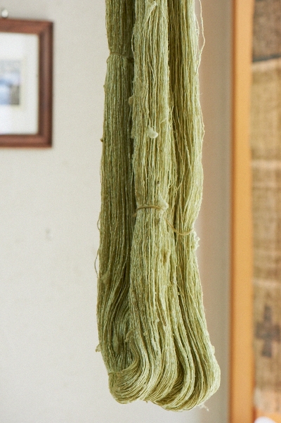 菊の葉染め