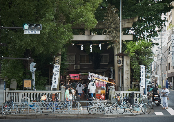 鳥越祭り