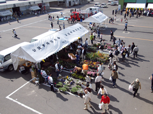 市場まつり報告9