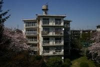 danchitsuma