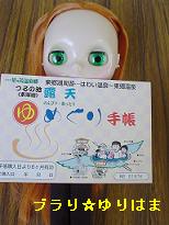 higaerispa2