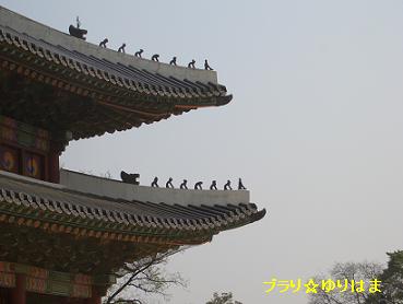 korea7