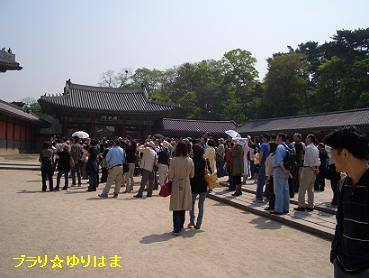 korea8