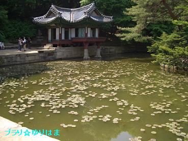 korea11