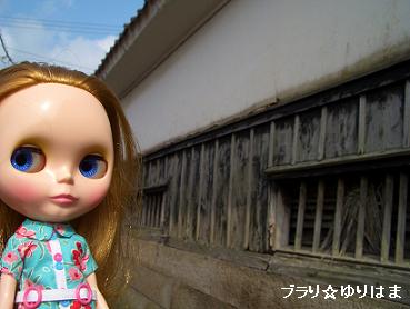 ichihasike