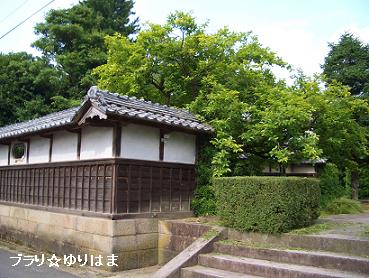 ichihasike