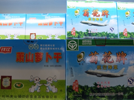 【壱】浙江省海寧市塩官鎮大逆流