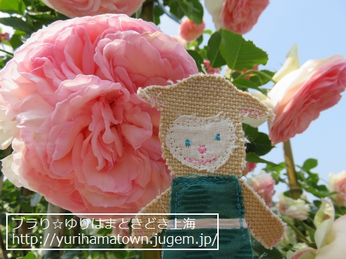 【湯梨浜町】Rose Garden