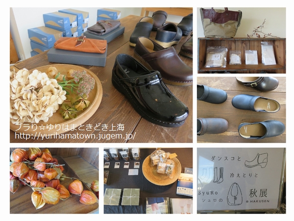 ダンスコと冷えとりとSyuRoの秋展