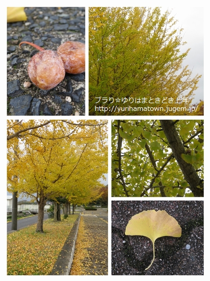 【琴浦町】琴浦町東伯総合公園
