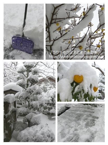 大雪警報