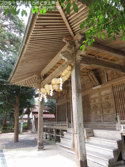 【琴浦町】桜吹雪き舞う!!方見神社