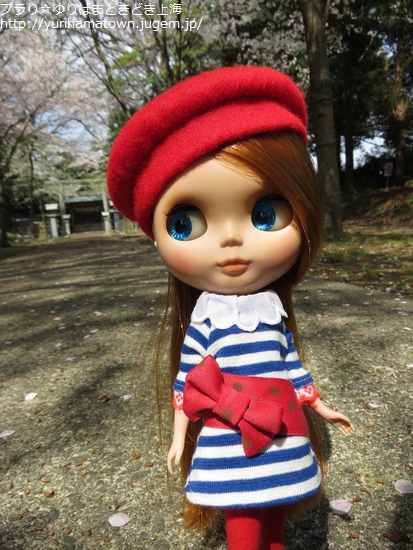 【琴浦町】桜吹雪き舞う!!方見神社