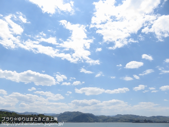 【湯梨浜町】紫色の藤カーテンを楽しむ!!あやめ池公園