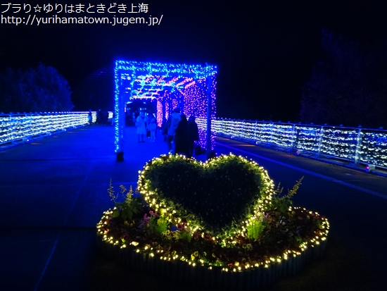 フラワーイルミネーションinとっとり花回廊