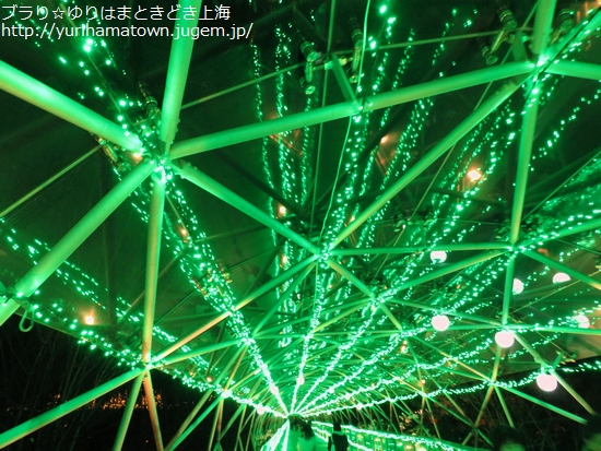 フラワーイルミネーションinとっとり花回廊