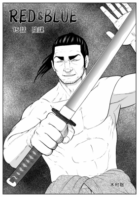 15_cover