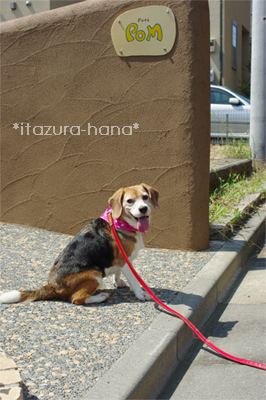 PENTAX K200D