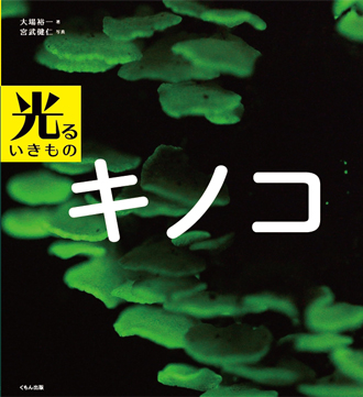 きのこ