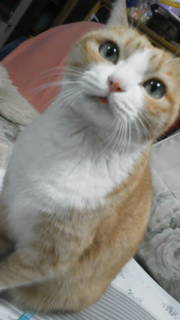 20120201210405.jpg