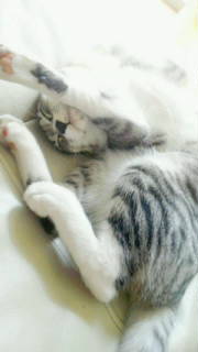 20120926131014.jpg