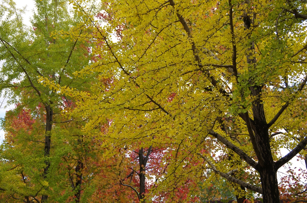 IMGP3413.jpg