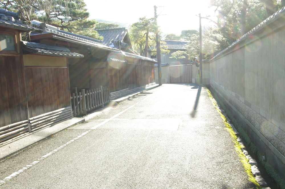 IMGP5451.jpg