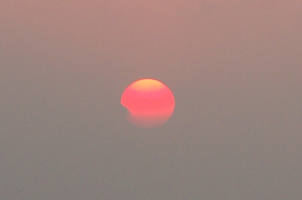 IMGP2125.JPG