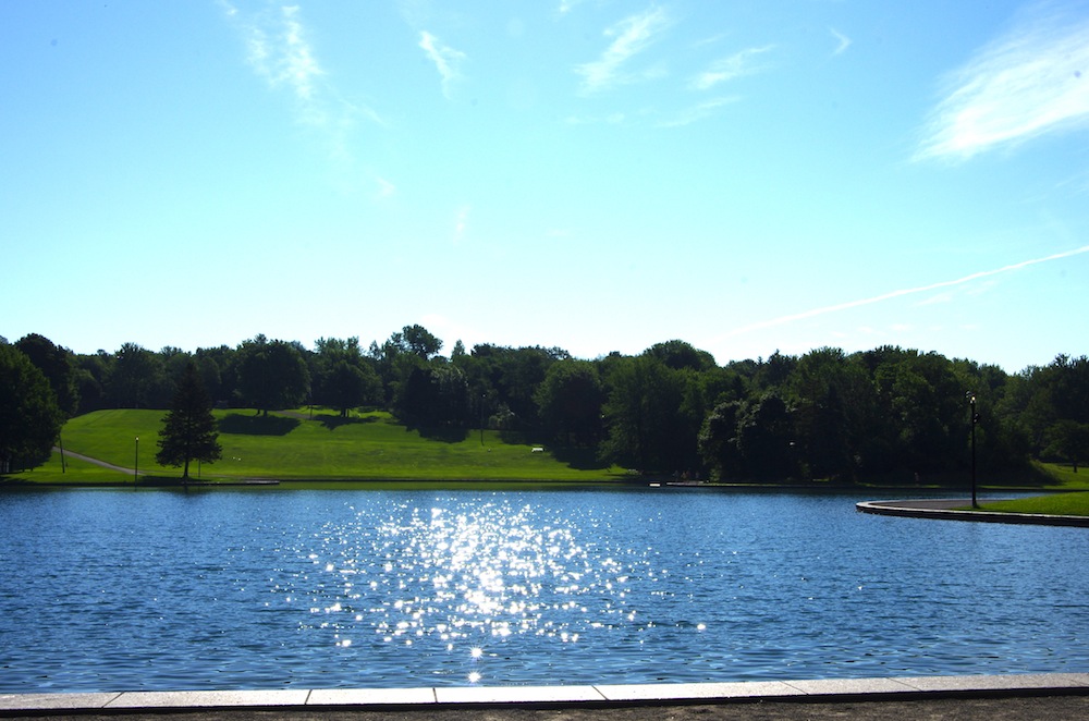 IMGP9219.JPG