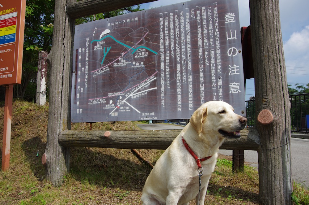 IMGP9787.JPG