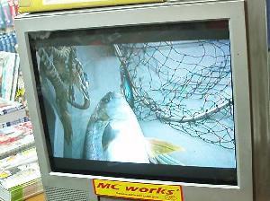 ¥µ¥ó¥é¥¤¥ºDVD2
