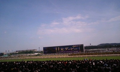 東京競馬場