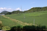 産地見学