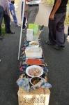 産地見学