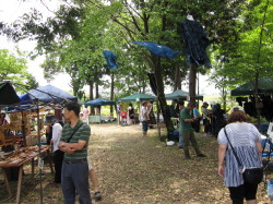 2010ヘムスロイド
