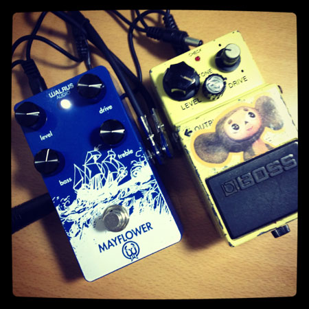 WALRUS AUDIO / MAYFLOWER