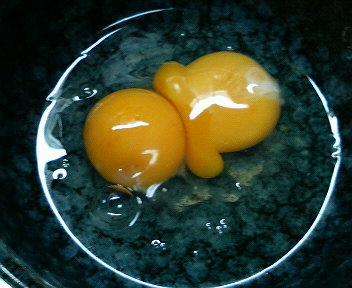 201007122019000.jpg