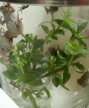 201105040026000.jpg