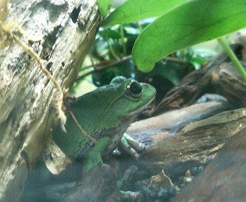 201105051937000.jpg