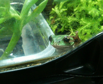 201105051936001.jpg