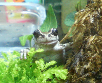 201105051927000.jpg