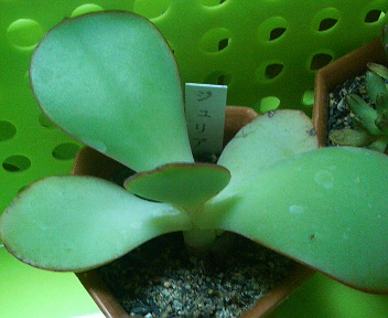201106302111001.jpg