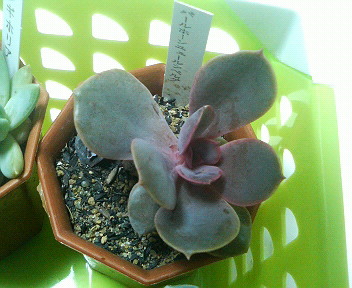 201106302108001.jpg