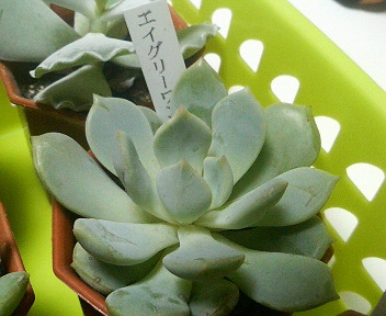 201106302115000.jpg