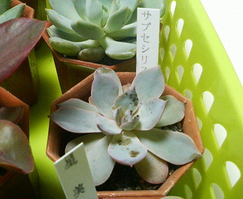 201106302131001.jpg